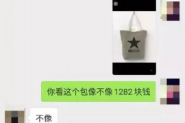 九江九江的要账公司在催收过程中的策略和技巧有哪些？